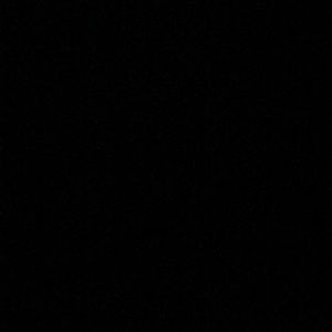 Meet your Posher, Will